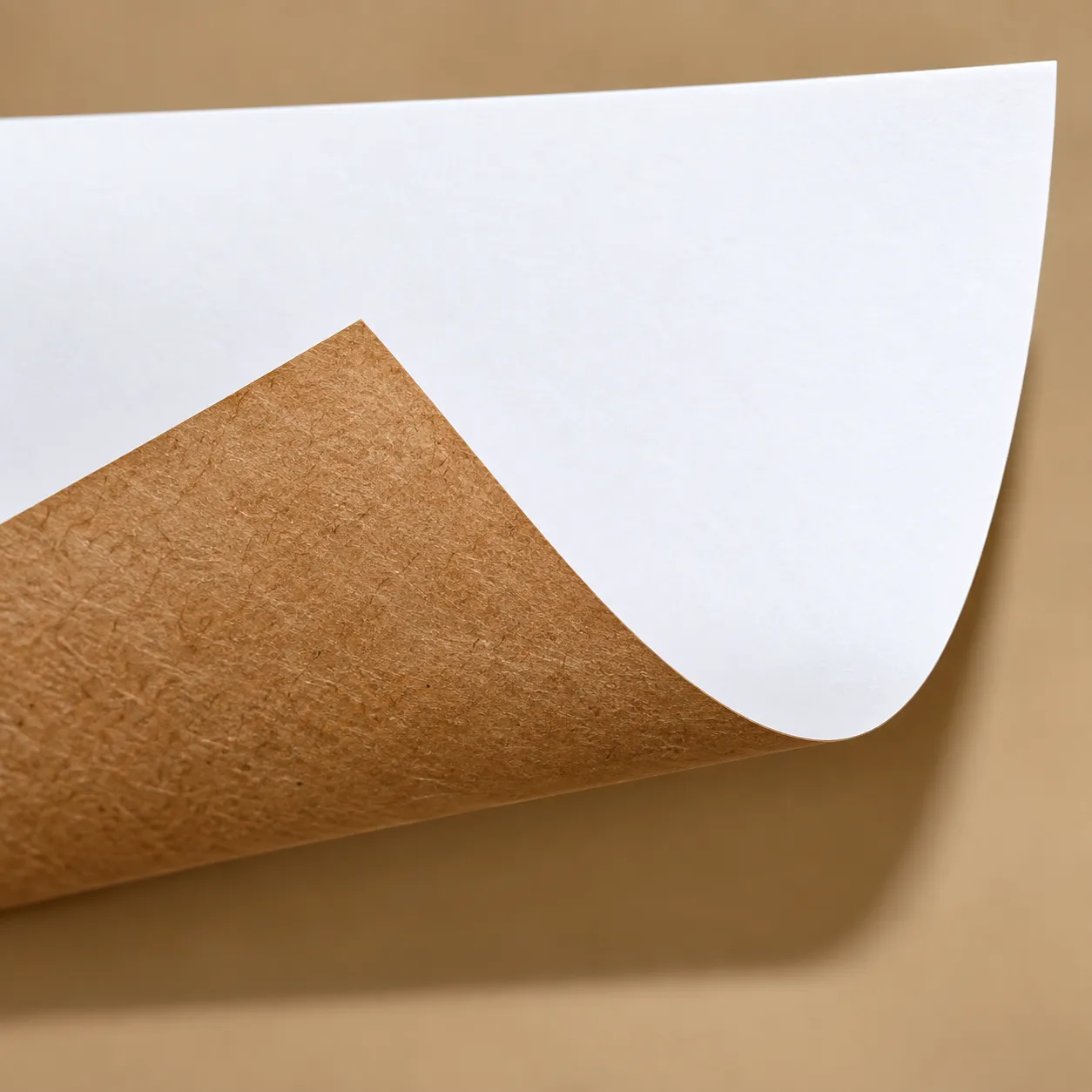 Coated paper material Coated paper material