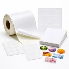 Printed Coated Paper & Labels
