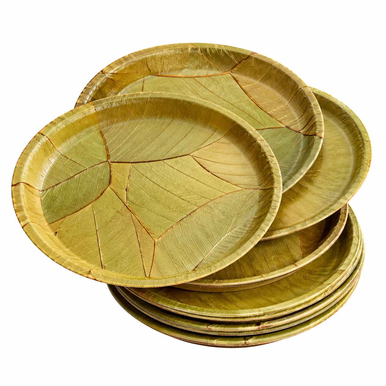 Salpata paper plate lamination